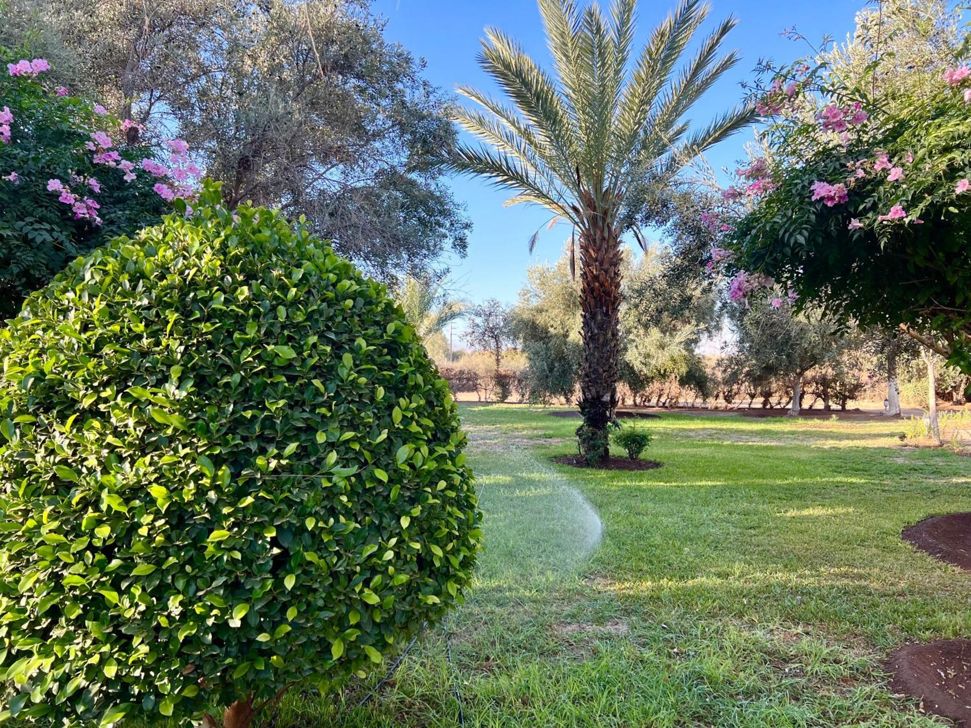 Le Domaine De Carole Marrakech Panzió Douar Akkara Kültér fotó