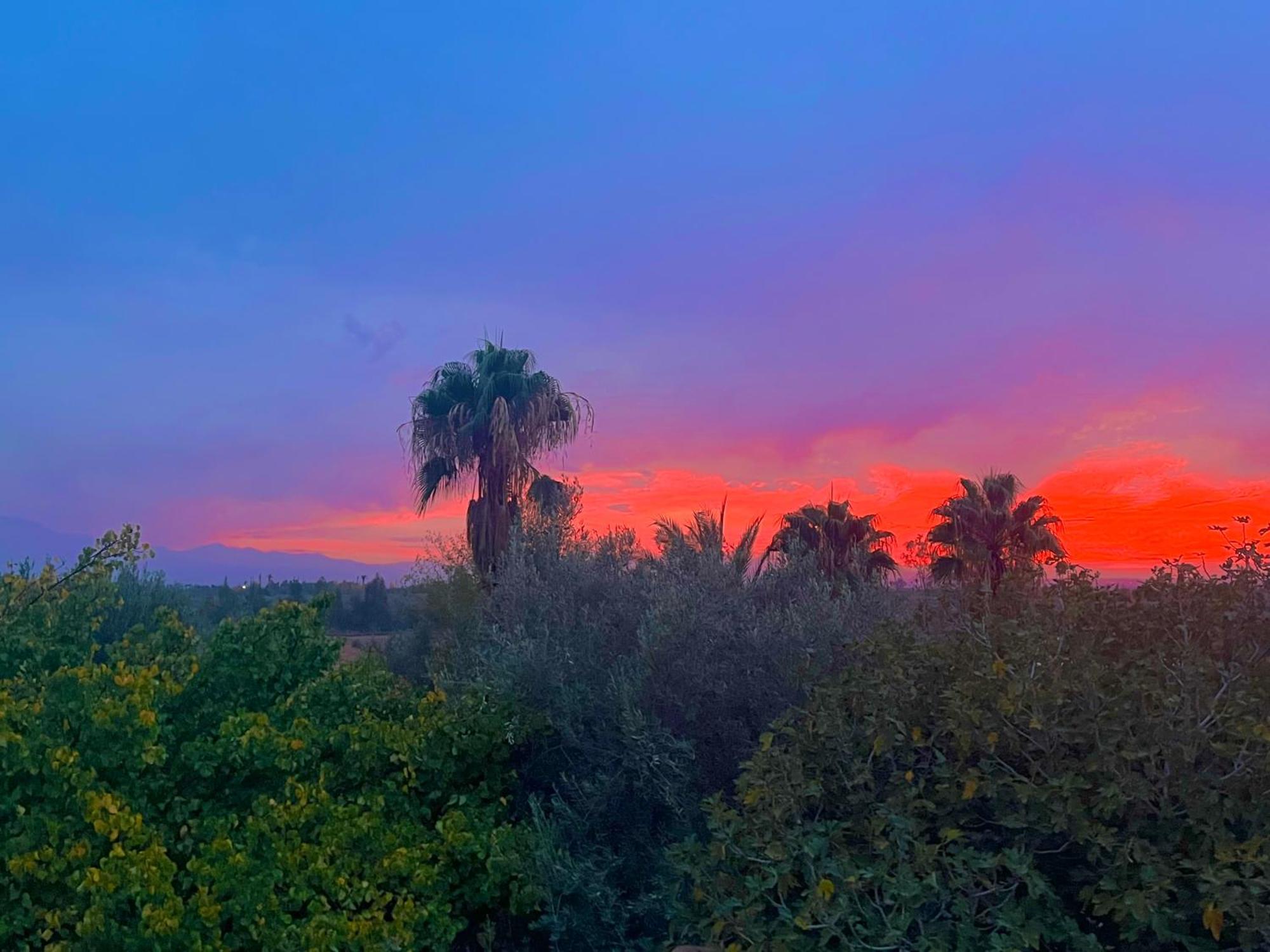 Le Domaine De Carole Marrakech Panzió Douar Akkara Kültér fotó