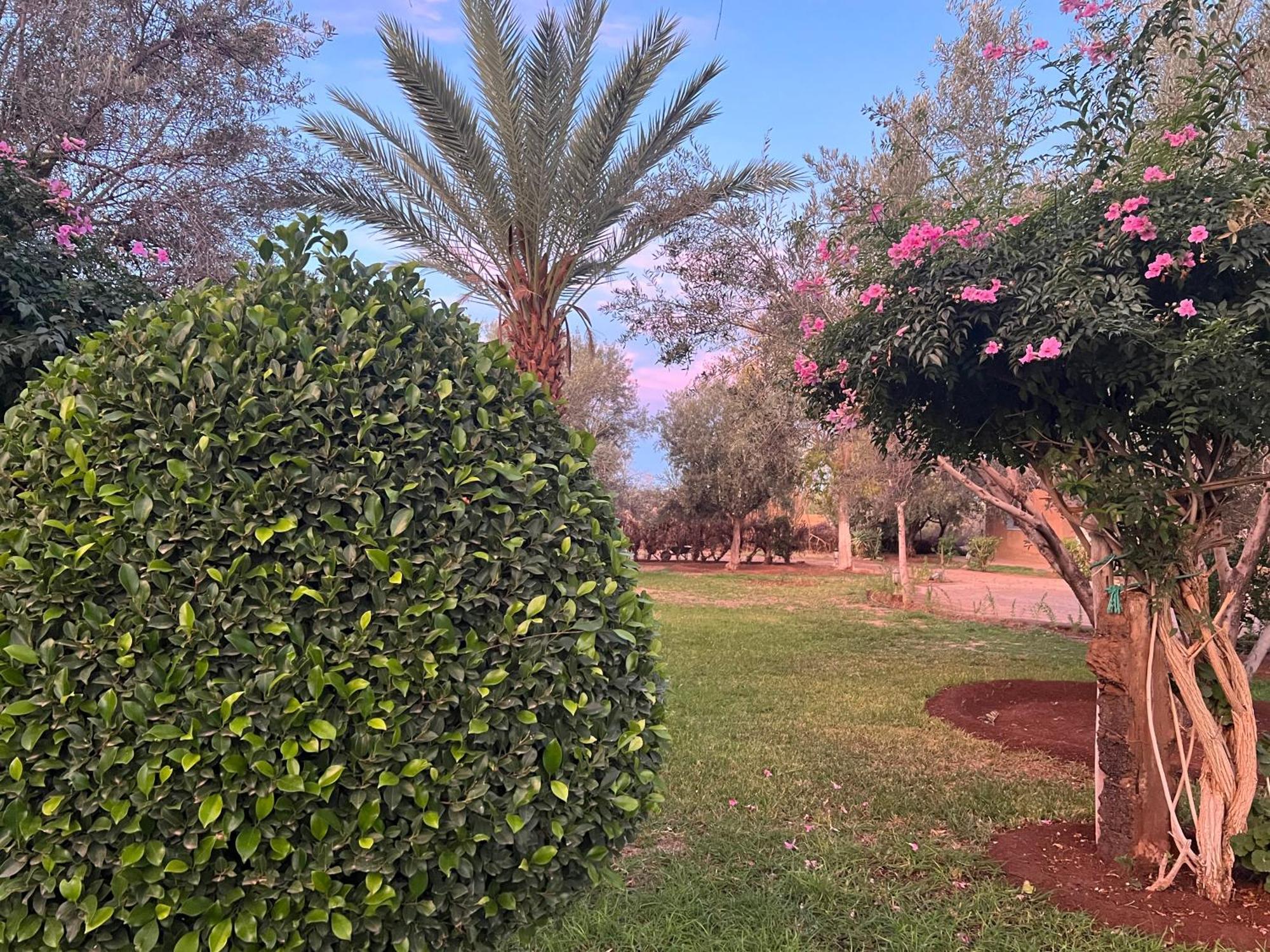 Le Domaine De Carole Marrakech Panzió Douar Akkara Kültér fotó