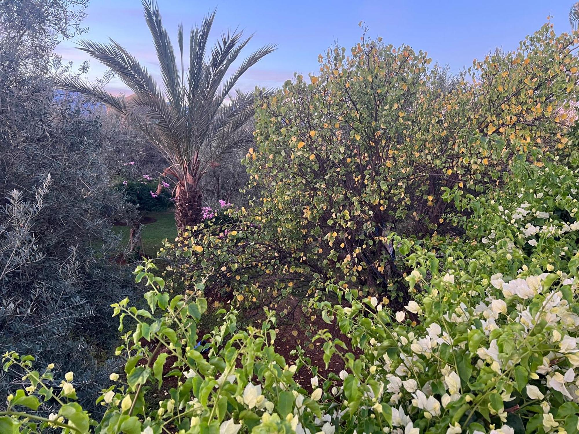 Le Domaine De Carole Marrakech Panzió Douar Akkara Kültér fotó