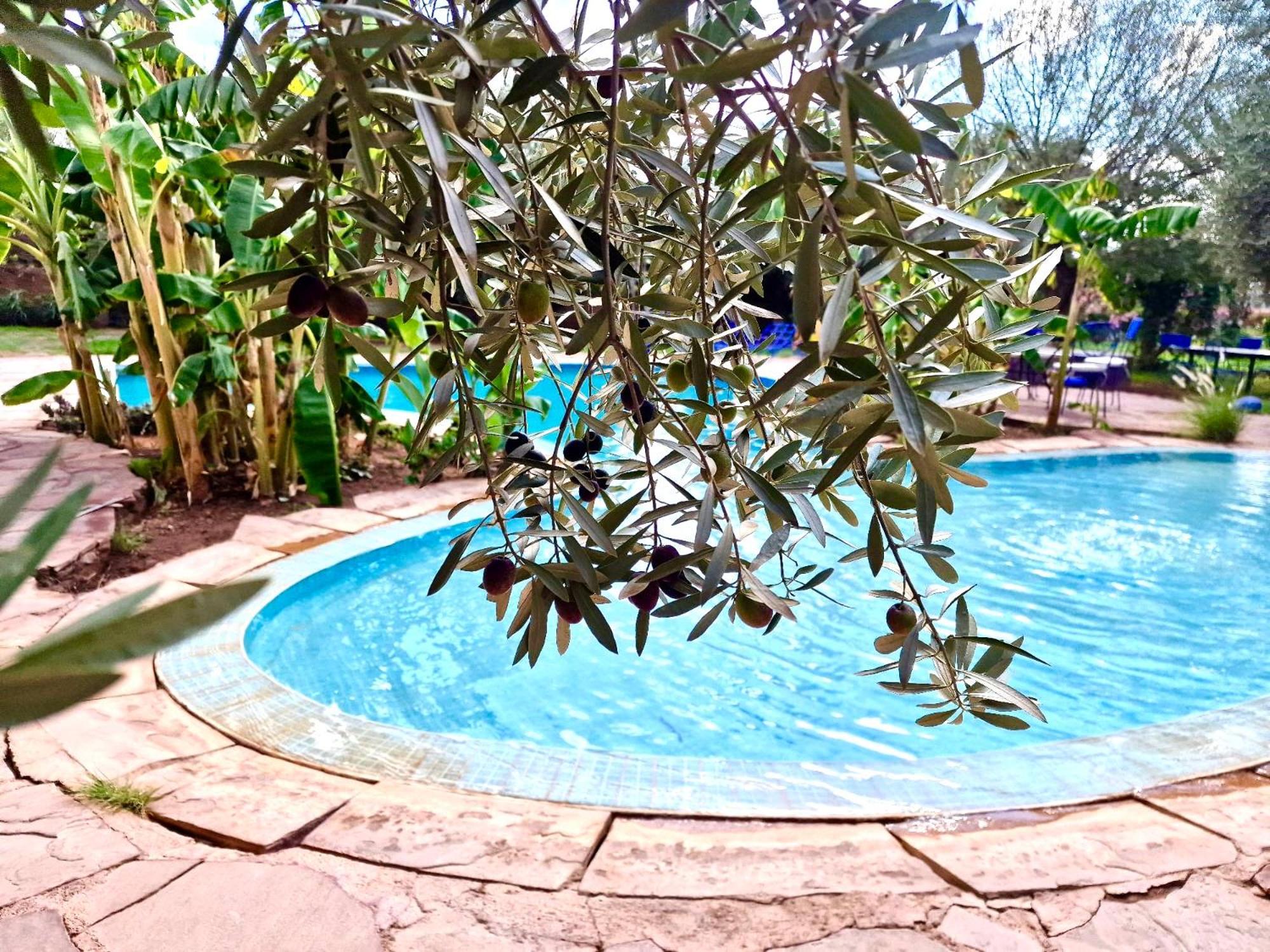 Le Domaine De Carole Marrakech Panzió Douar Akkara Kültér fotó
